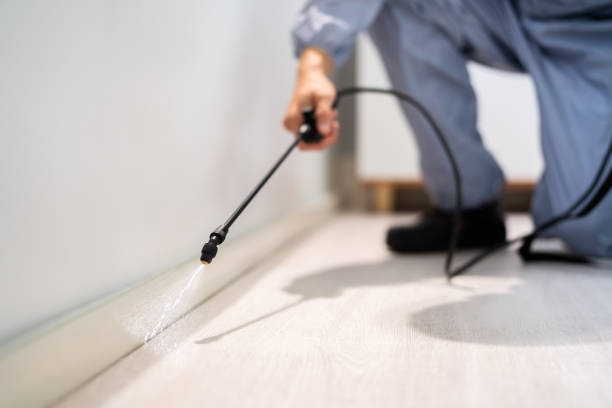 Licensed Rodent Control service in Santa Cruz County County, AZ - Nex Pest Control